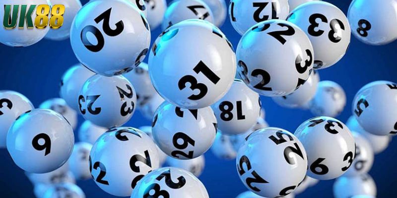 Những lưu ý trong cách nuôi lô khung 10 ngày