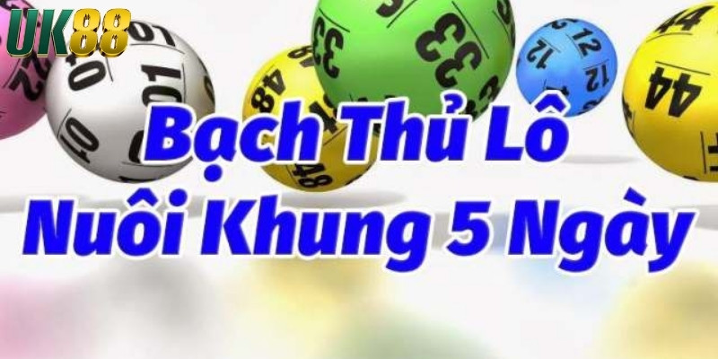 Lý do nên biết cách nuôi lô khung 5 ngày